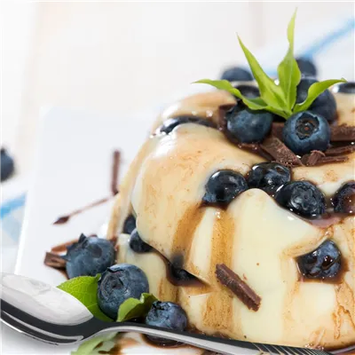 Vanilla Pudding G+G | Fusion Food Haus