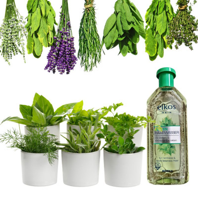 Herbal Hair Tonic Birken | Fusion Food Haus