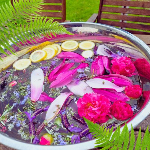 A metal basin of water filled with pink flower petals, lemon slices and lavender, surrounded by ferns