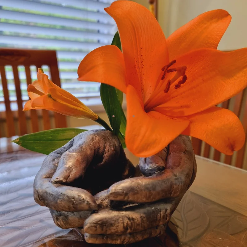 A silver-finished cast of two hands holding an orange lily